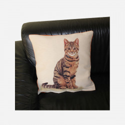 Coussin-décoratif-chat-velours-4