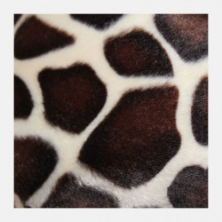 casquette-rasta-girafe-2