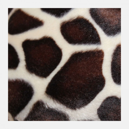 casquette-rasta-girafe-2