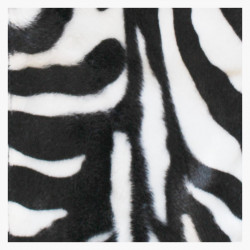 Casquette en fourrure imitation Tigre Guépard Girafe Zèbre