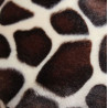 béret-fourrure-girafe-1-arlekincreation