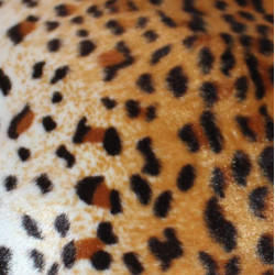 béret-fourrure-guépard-3-arlekincreation