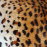 béret-fourrure-guépard-3-arlekincreation