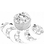 lingettes écologiques